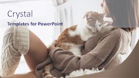  Presentation with winter scene - Presentation design featuring owner playing with cat one winter weekend girl dressed in knit woolen sweater relaxing with her pet on a armchair in scandinavian home cosy scene hygge concept background and a sky blue colored foreground