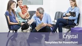  Presentation with pets - Colorful PPT layouts enhanced with owners in waiting area backdrop and a ocean colored foreground