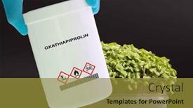  Presentation with diseases - Slides consisting of oxathiapiprolin-fungicide-soil-borne-foliar background and a gold colored foreground