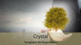  Presentation with hand palm - Slide set enhanced with  background and a  colored foreground