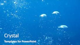  Presentation with oxygen - Amazing slides having oxygen bubbles backdrop and a teal colored foreground