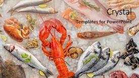  Presentation with salmon fish - Colorful PPT theme enhanced with oyster and other shells serve backdrop and a coral colored foreground