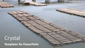  Presentation with oyster - Slides with oyster-farm-in-south-china background and a gray colored foreground