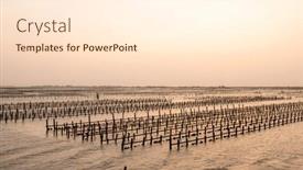  Presentation with oyster - Slide set featuring oyster-farm-rack-over background and a cream colored foreground