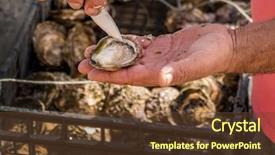  Presentation with farming - Audience pleasing slide set consisting of oyster farming in europe backdrop and a tawny brown colored foreground