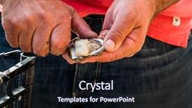  Presentation with oyster - Cool new PPT theme with oyster farming in europe backdrop and a wine colored foreground