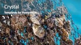  Presentation with farming - Presentation theme consisting of oyster farming in europe background and a teal colored foreground