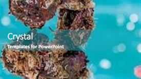  Presentation with oyster - Audience pleasing PPT theme consisting of oyster farming in europe backdrop and a teal colored foreground