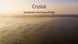  Presentation with oyster mushroom on substrate - Colorful presentation theme enhanced with oyster fram in the sea backdrop and a lemonade colored foreground