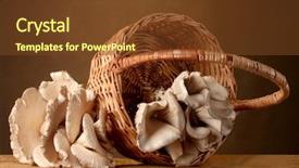  Presentation with mushrooms - Presentation theme consisting of keys with word compensation background and a dark gray colored foreground