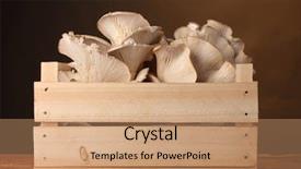  Presentation with mushrooms - Presentation theme with start word as motivation writen on asphalt road background and a sky blue colored foreground.