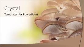  Presentation with mushrooms - Amazing presentation theme having oyster mushrooms on a white backdrop and a lemonade colored foreground