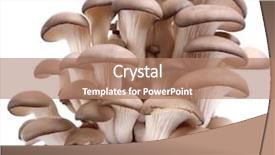  Presentation with mushrooms - Theme consisting of oyster mushrooms on a white background and a coral colored foreground