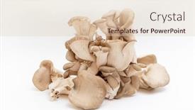  Presentation with yellow oyster mushroom - Presentation design with oyster-mushrooms-pleurotus-ostreatus-isolated background and a lemonade colored foreground