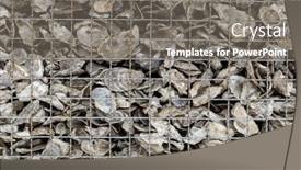  Presentation with decay - Presentation design consisting of oyster-shells-left-to-decay background and a gray colored foreground