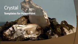  Presentation with pearl oyster - Colorful PPT theme enhanced with oyster with pearl on beach backdrop and a  colored foreground