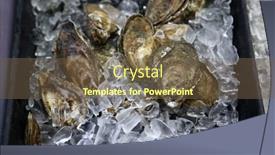  Presentation with oyster - Theme having oysters-live-oysters-on-ice background and a tawny brown colored foreground