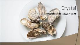  Presentation with white plate - Colorful PPT theme enhanced with oysters-raw-fresh-oysters backdrop and a white colored foreground