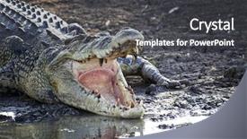  Presentation with ambulance open - Cool new presentation design with oz - saltie with open jaws backdrop and a dark gray colored foreground