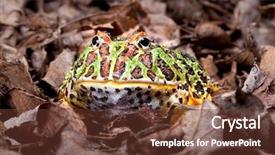  Presentation with dead leaves - Audience pleasing presentation theme consisting of pac man - ornate horned frog sitting backdrop and a tawny brown colored foreground