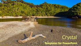  Presentation with pacific island - Slide deck featuring pacific-coast-at-low-tide background and a violet colored foreground