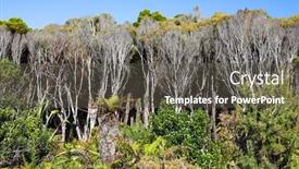  Presentation with pacific island - Amazing slide deck having pacific-coast-road-to-knight backdrop and a dark gray colored foreground