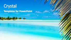  Presentation with palm tree - Amazing PPT layouts having pacific island - beautiful tropical lagoon framed backdrop and a teal colored foreground