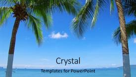  Presentation with palm tree - Slide set consisting of pacific island - green palm tree on blue background and a light blue colored foreground