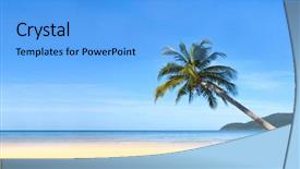  Presentation with palm - Cool new presentation with pacific island - palm bend on the water backdrop and a light blue colored foreground