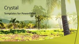  Presentation with palm plantation - Cool new slides with pacific island - palm plantation on hawaii backdrop and a yellow colored foreground