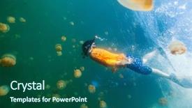  Presentation with jellyfish - Beautiful presentation theme featuring underwater photo of child diving with endemic stingless jellyfish in lake at palau snorkeling in jellyfish lake is a popular activity for tourists to palau backdrop and a ocean colored foreground