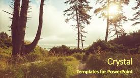  Presentation with olympic - PPT layouts featuring pacific northwest - olympic national park landscapes background and a tawny brown colored foreground
