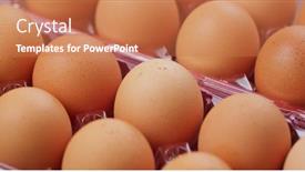  Presentation with chicken - Presentation featuring pack of the chicken egg in rotation background and a coral colored foreground