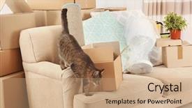  Presentation with familly a new born - Beautiful slide deck featuring packed household stuff for moving backdrop and a coral colored foreground