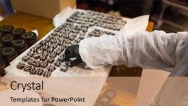  Presentation with industry - Audience pleasing presentation theme consisting of packing candies at confectionery shop backdrop and a coral colored foreground