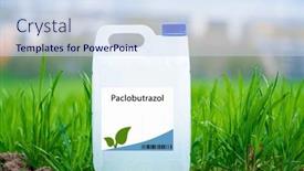  Presentation with plant growth - Theme with paclobutrazol-a-synthetic-plant-growth background and a sky blue colored foreground