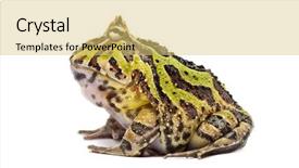  Presentation with frog - Audience pleasing slide set consisting of pacman - side view of an argentine backdrop and a yellow colored foreground