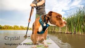  Presentation with stand - Amazing theme having paddling-inflatable-stand-up-paddleboard backdrop and a yellow colored foreground