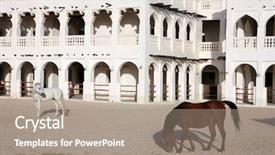  Presentation with horses - Presentation having paddock opposite the emiri diwan background and a coral colored foreground