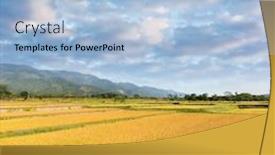  Presentation with farm - Cool new PPT theme with paddy-farm-with-copyspace backdrop and a light blue colored foreground
