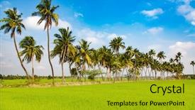  Presentation with paddy field - Cool new presentation design with paddy fields in india backdrop and a gold colored foreground