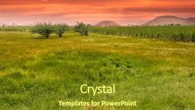  Presentation with paddy field - PPT layouts with paddy fields in india background and a tawny brown colored foreground