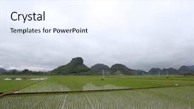  Presentation with paddy field - Amazing theme having paddy fields in rural guilin backdrop and a  colored foreground