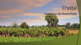  Presentation with andhra pradesh - Amazing PPT layouts having paddy fields landscape in andhra backdrop and a coral colored foreground