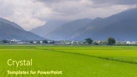  Presentation with rice paddy - PPT theme featuring paddy-rice-field-in-taitung background and a tawny brown colored foreground