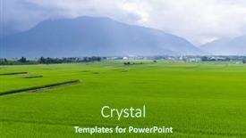  Presentation with rice paddy - PPT theme enhanced with paddy-rice-field-in-taitung background and a tawny brown colored foreground