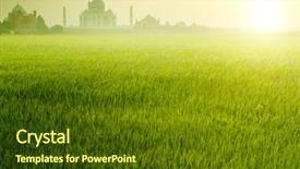  Presentation with rice fields - PPT theme with paddy rice fields with taj background and a tawny brown colored foreground