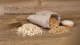  Presentation with rice paddy - Slides with paddy-rice-in-a-bag background and a coral colored foreground