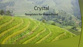  Presentation with paddy field - Theme with paddy rice terraces background and a light gray colored foreground