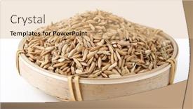  Presentation with seed - Presentation theme with paddy-seed-in-bamboo-basket background and a coral colored foreground